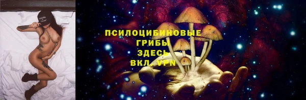 ПСИЛОЦИБИНОВЫЕ ГРИБЫ Алексин