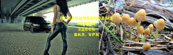 ГАЛЛЮЦИНОГЕННЫЕ ГРИБЫ Абаза