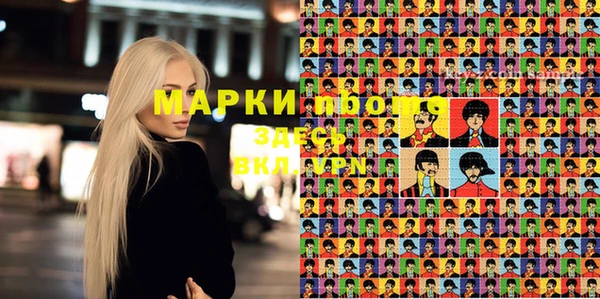 ГАЛЛЮЦИНОГЕННЫЕ ГРИБЫ Абаза