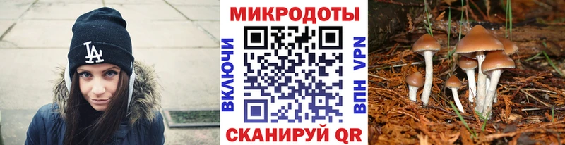 даркнет сайт  Агидель  Галлюциногенные грибы Cubensis 